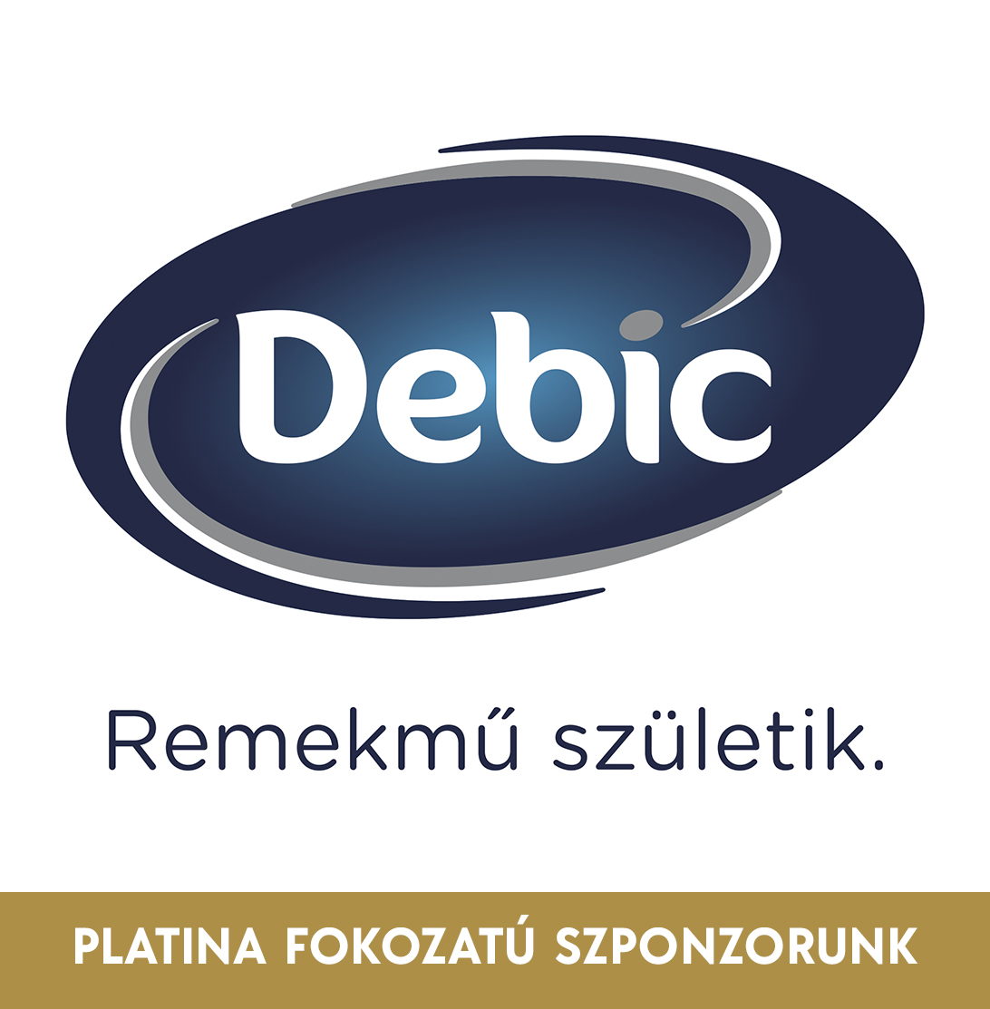 Debic